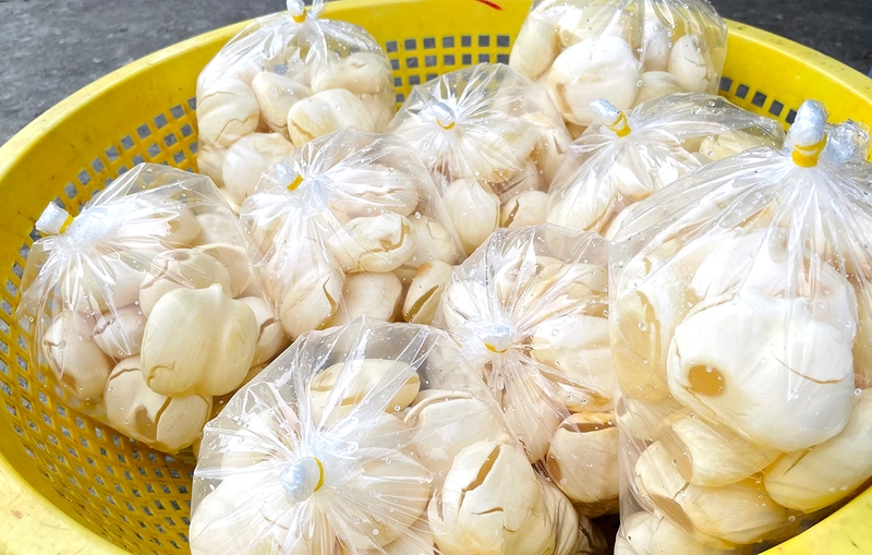 thốt nốt sữa 7