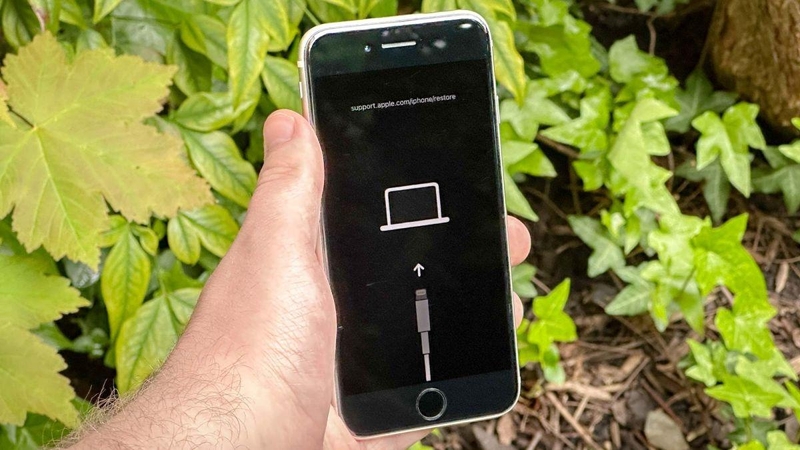 cách cài đặt lại iPhone bằng iTunes - Hình 4