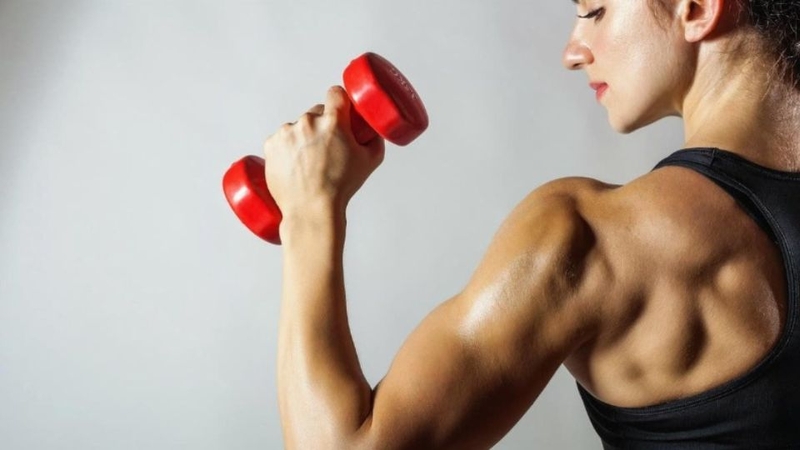 Protein là thành phần chính trong việc xây dựng và sửa chữa cơ bắp