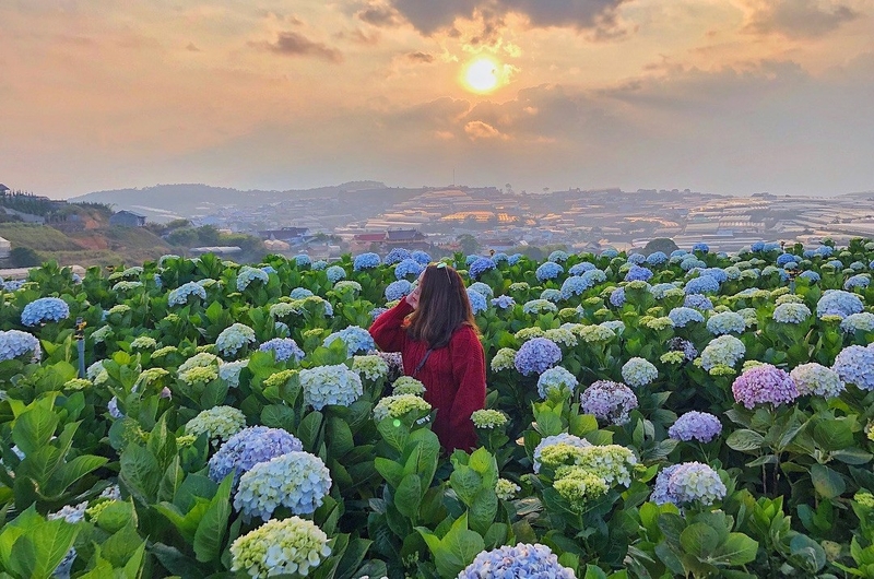 Thung Lũng Tình Yêu 2