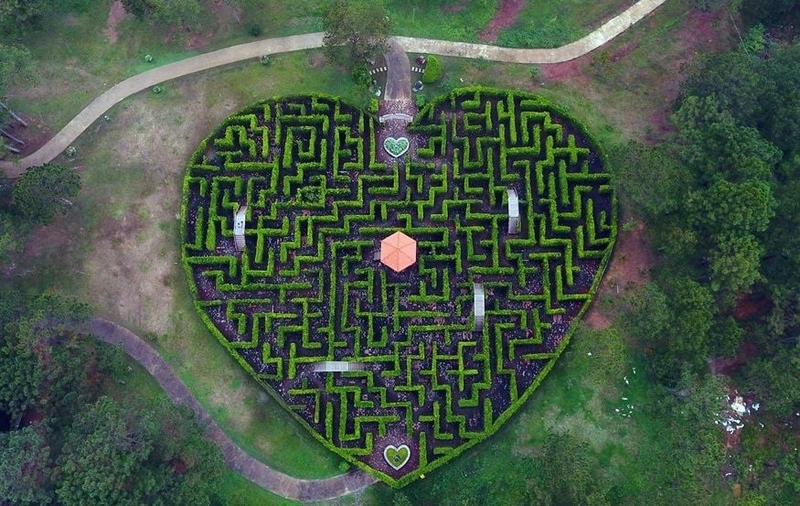 Thung Lũng Tình Yêu 4