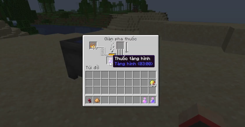 Thuốc tàng hình trong Minecraft 5