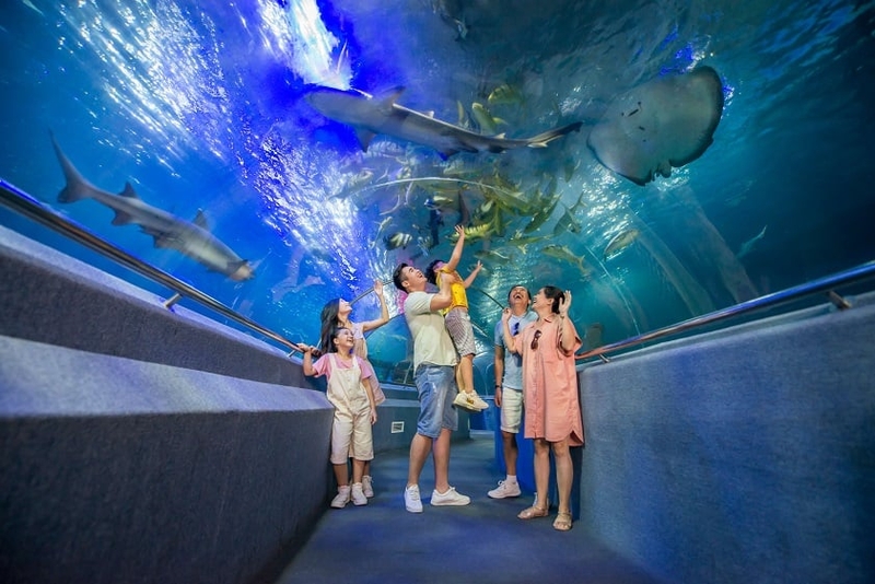 Thủy cung Nha Trang 2