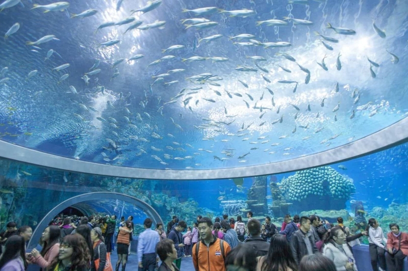 Thủy cung Nha Trang 6