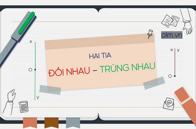 tia đối là gì ảnh 3