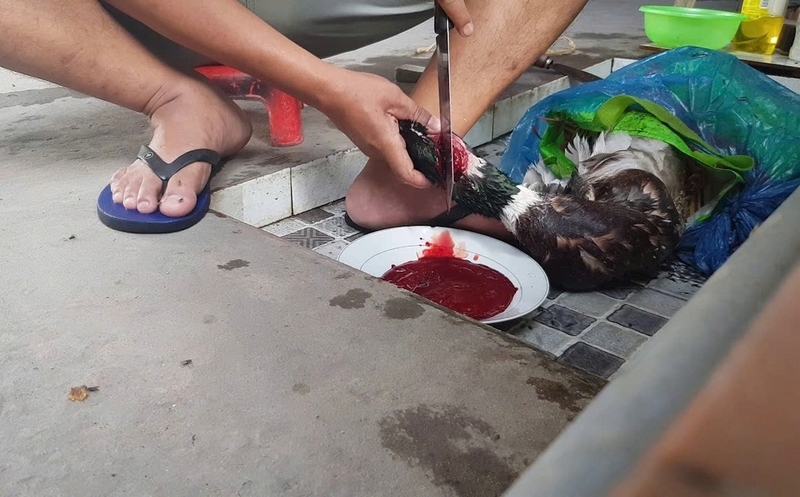 tiết canh vịt xiêm ảnh 3