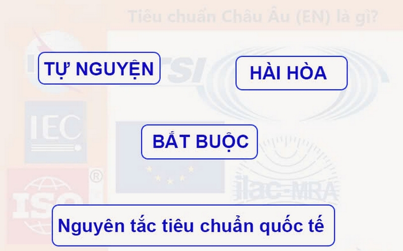 Tiêu chuẩn châu Âu ảnh 5