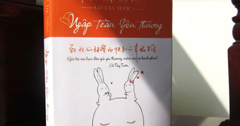 9 tiểu thuyết ngôn tình hay nhất mọi thời đại