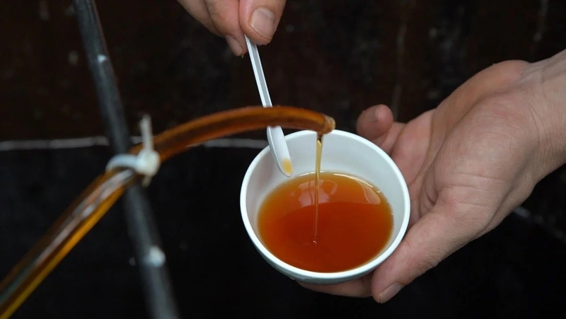 tiêu xanh ngâm mắm 6