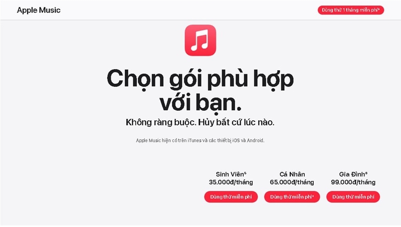 tim-hieu-apple-music-l.jpg