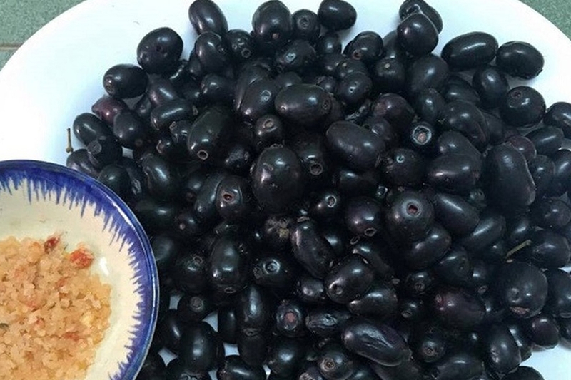 Trái trâm là gì? Tác dụng bất ngờ về sức khỏe và cách sử dụng sao cho ...