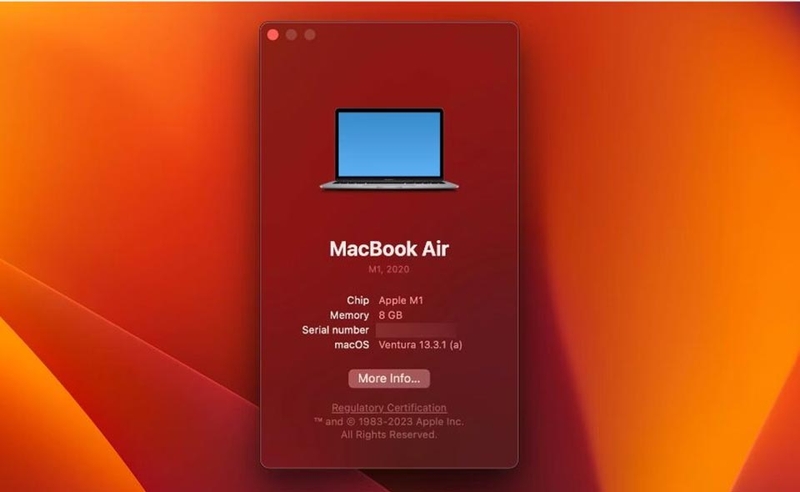 Tìm số serial sản phẩm Apple - 04