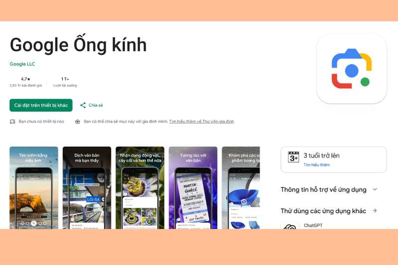 Tìm tên cây bằng hình ảnh (4)