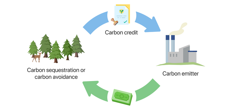Cơ chế hoạt động của tín chỉ carbon