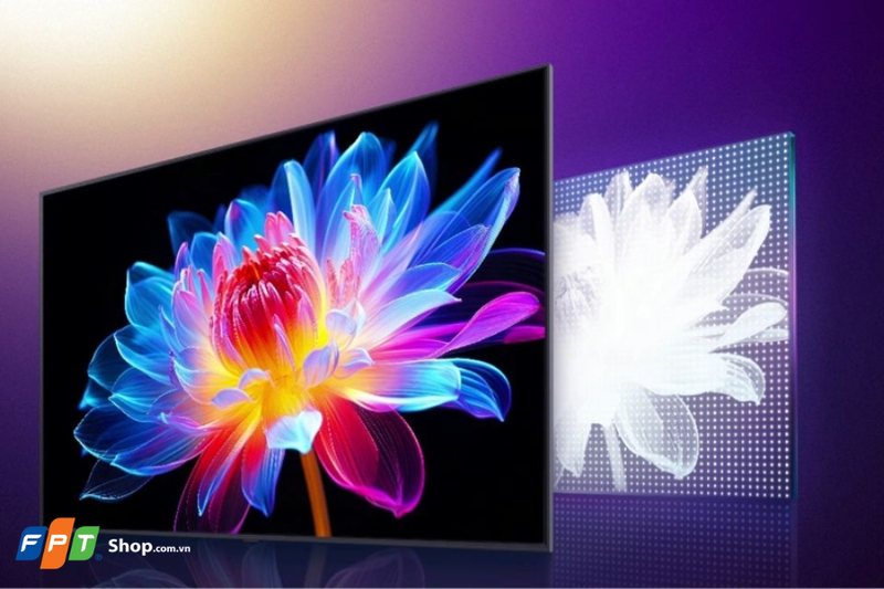 Sự khác biệt về độ thuần khiết của dải màu giữa màn hình tivi QLED và QNED