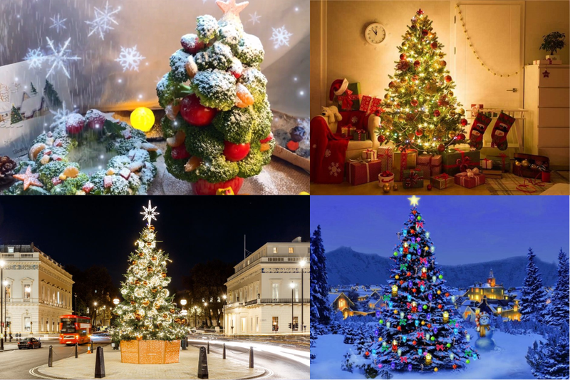 tô màu cây thông noel (1)