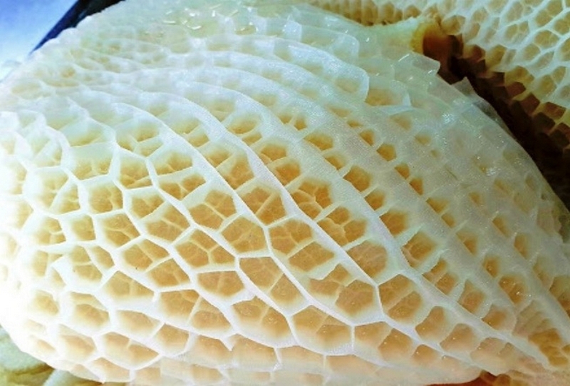 tổ ong bò ảnh 2