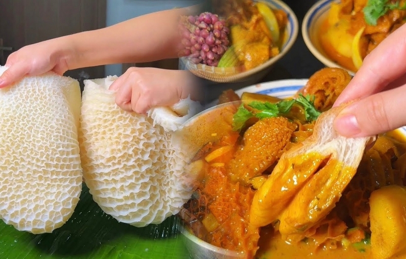 tổ ong bò ảnh 5