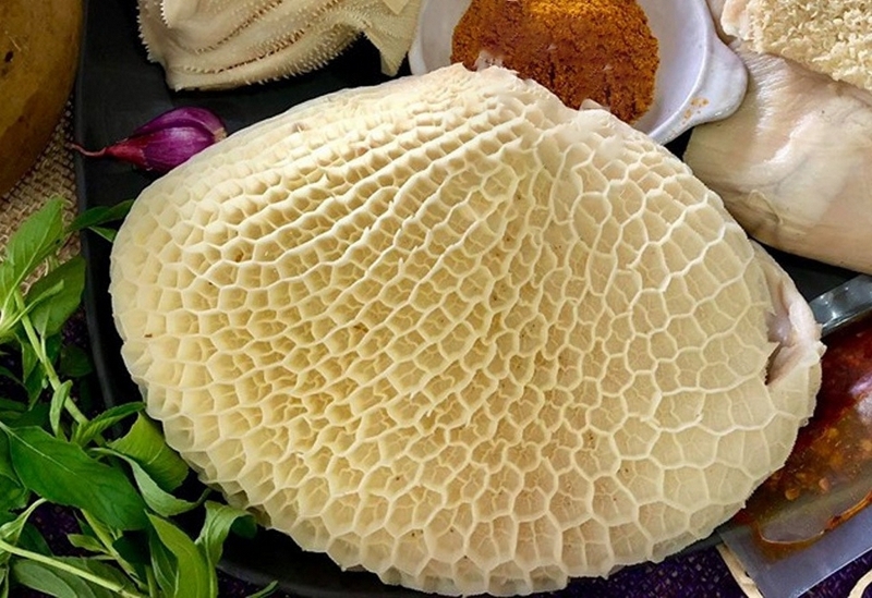 tổ ong bò ảnh 6
