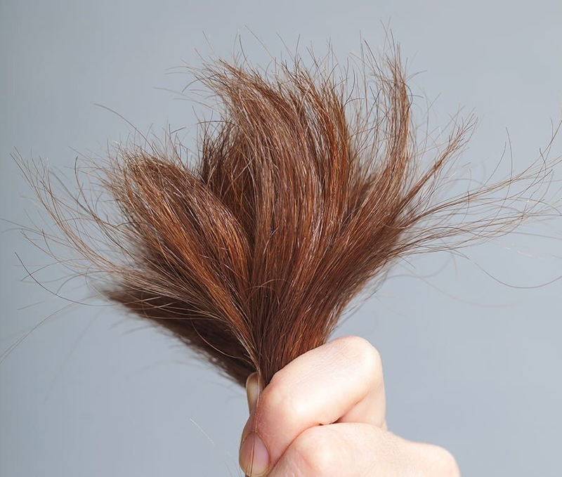 Tóc bị chẻ ngọn có nên cắt 2