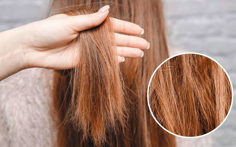 Tóc bị chẻ ngọn có nên cắt 1