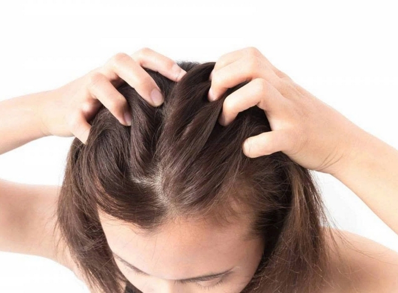 tóc bờm sư tử ảnh 8