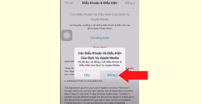 Đồng ý các điều khoản và điều kiện sử dụng