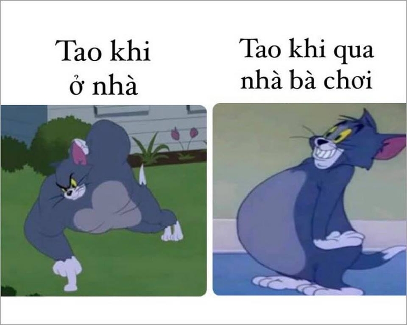 tom-and-jerry-meme-14.jpg