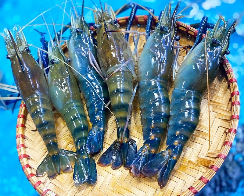 Nên ăn tôm càng sen hay tôm càng xanh?