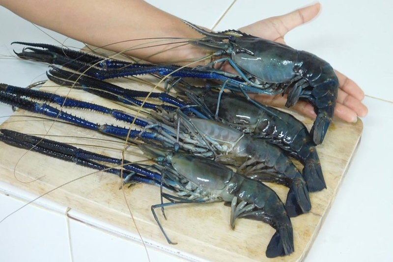 Tôm càng xanh nướng - 02