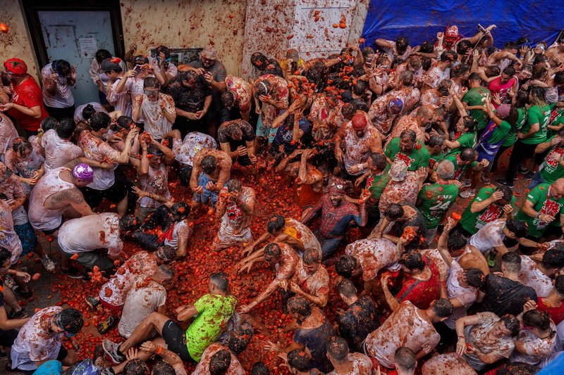 tomatina-la-gi-6.png