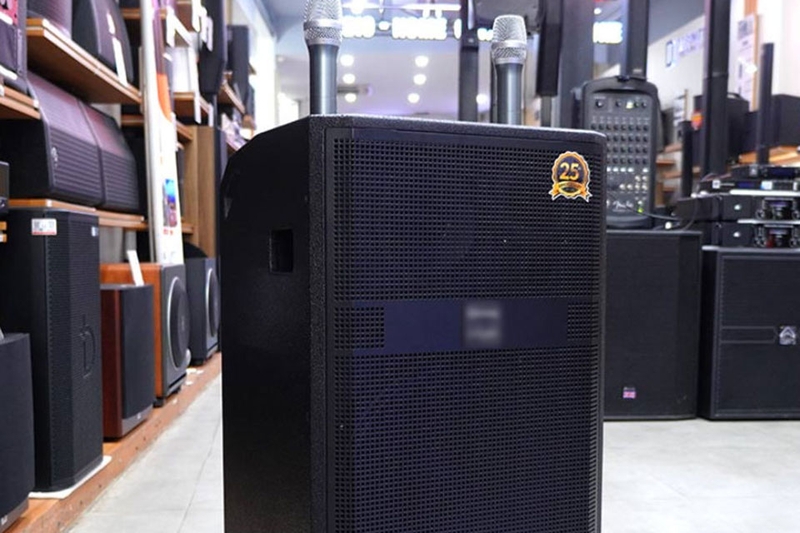 Top loa k&eacute;o c&ocirc;ng suất lớn - 06