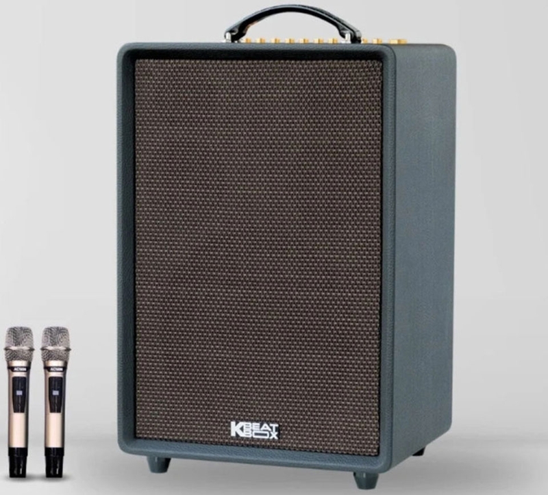 Top loa k&eacute;o c&ocirc;ng suất lớn - 02