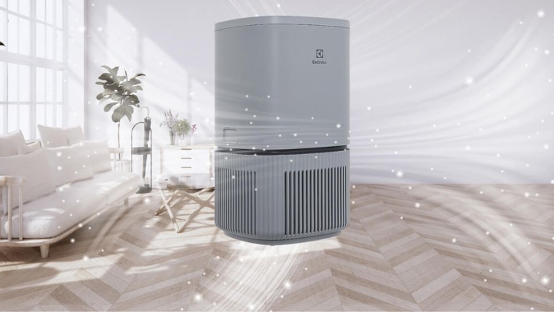 top máy lọc không khí Electrolux đáng mua nhất hiện nay 2