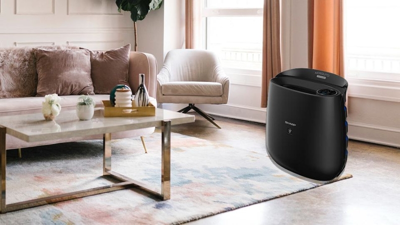 Top máy lọc không khí đuổi muỗi 1