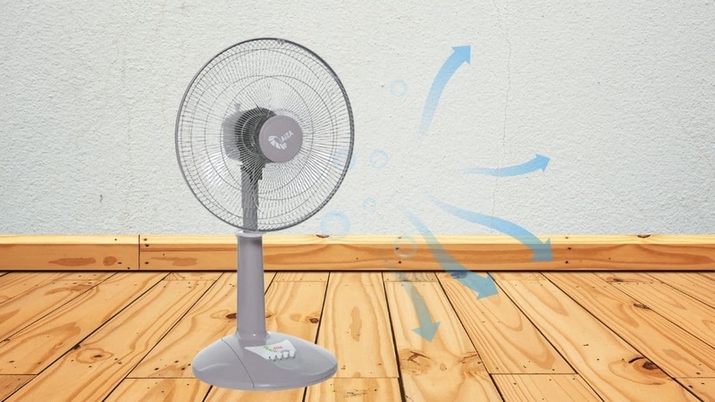 quat lung asiavina vy358990