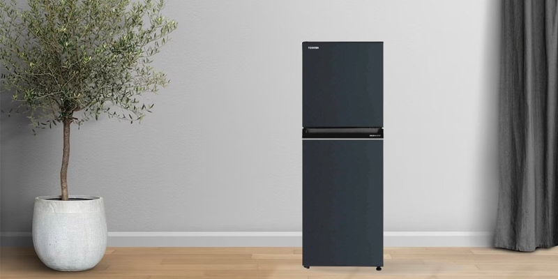 tu lanh toshiba 194 lit gr rt252we pmv52