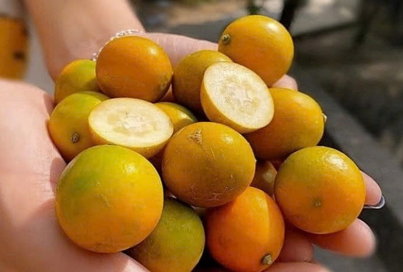 trà chanh dây kim quất ảnh 2