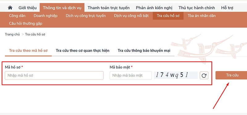tra cứu hộ chiếu làm xong chưa (hình 7)