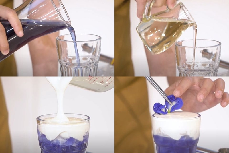 trà hoa đậu biếc macchiato 8