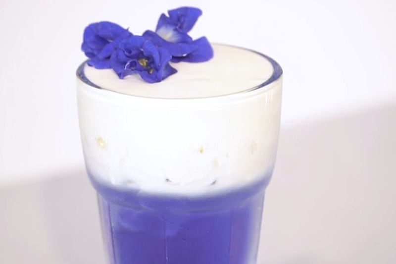trà hoa đậu biếc macchiato 9