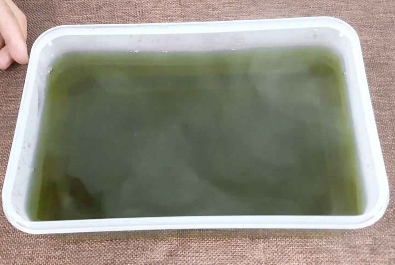 trà sữa Thái xanh hình 8