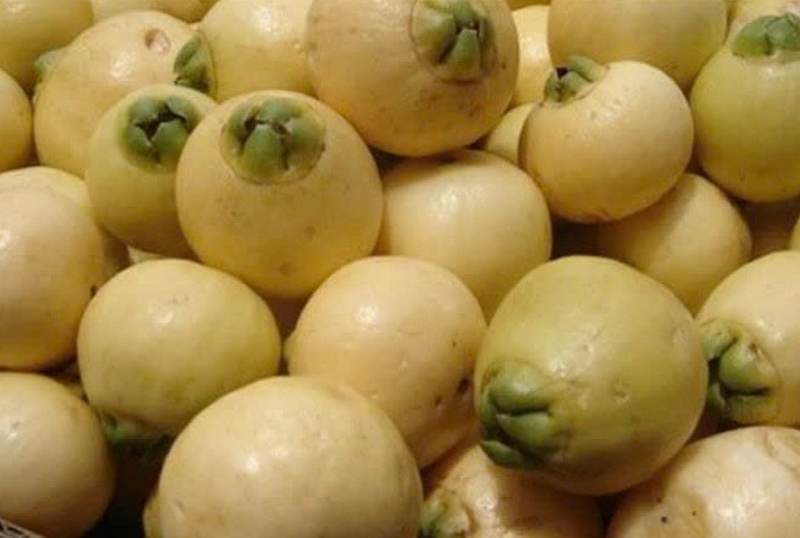 Trái lý ảnh 5