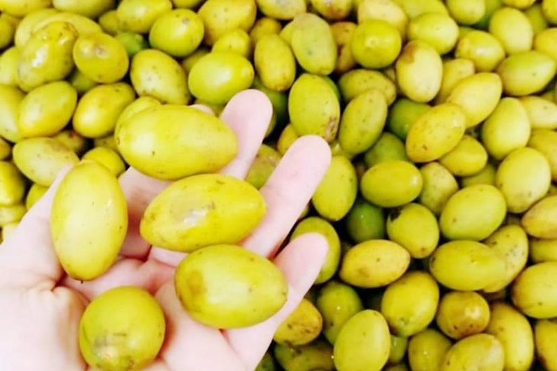 Cách bảo quản trám xanh trong tủ lạnh 4