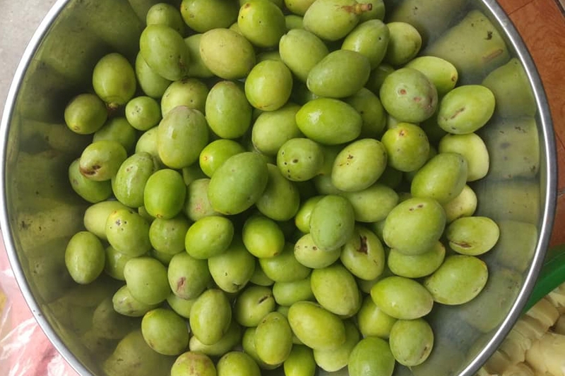 Cách bảo quản trám xanh trong tủ lạnh 1