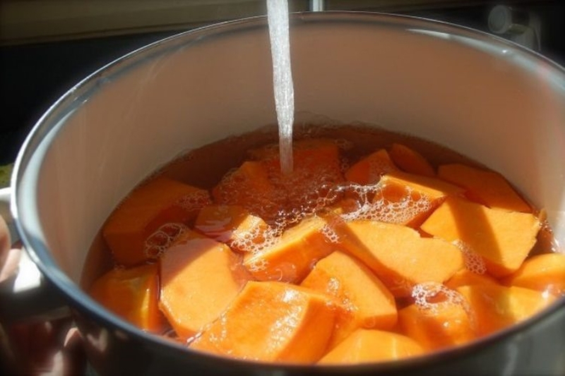 Trân châu bí đỏ (hình 3)