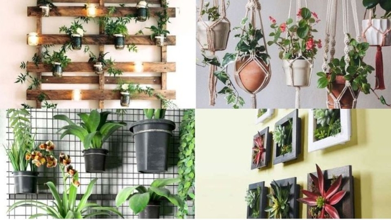 Tự làm chậu hoa treo