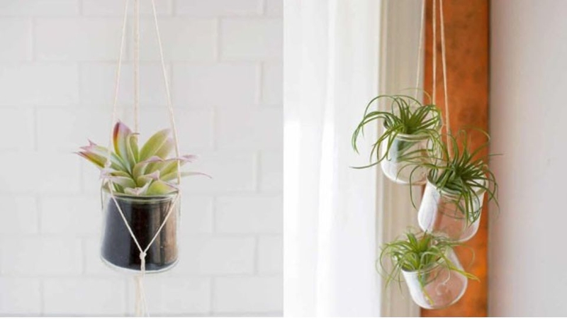Tự làm chậu hoa từ chai lọ thủy tinh