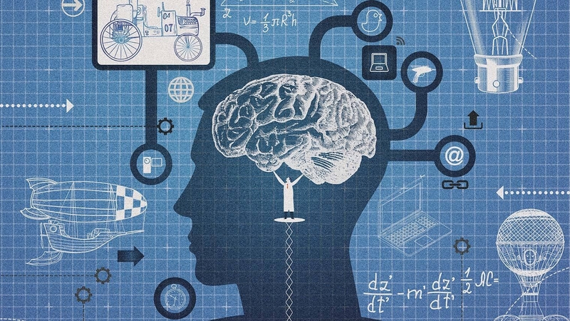 Trí tuệ là gì (ảnh 1)