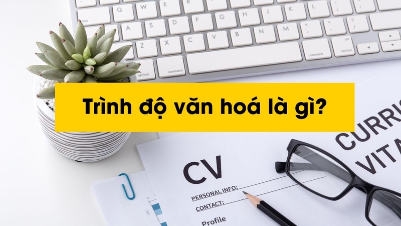 Trình độ văn hóa ghi đại học hay 12/12 3